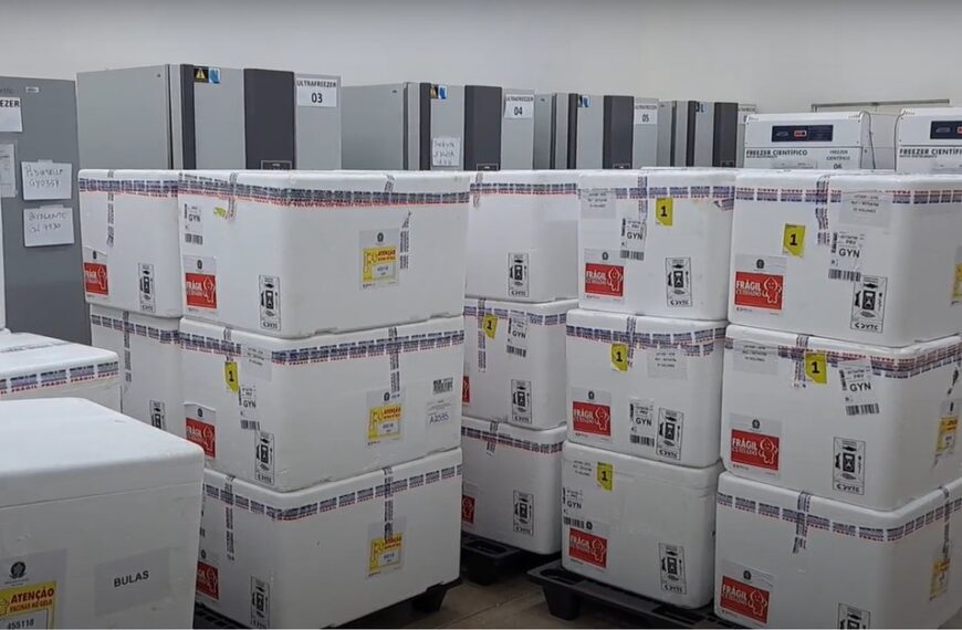 Vacinação contra a dengue começa semana que vem para crianças de 10 e 11 anos,…