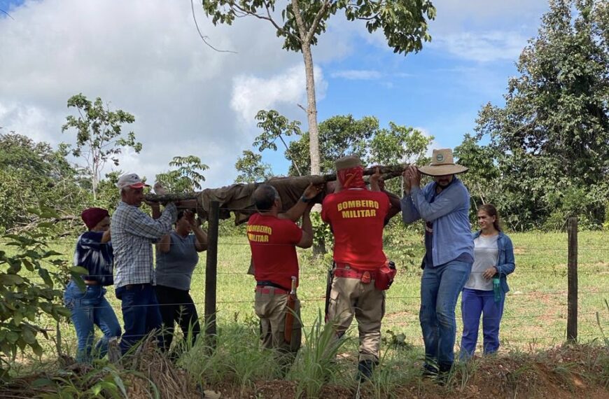 Idoso de 86 anos é resgatado após mais de 70 horas desaparecido, em Uruana