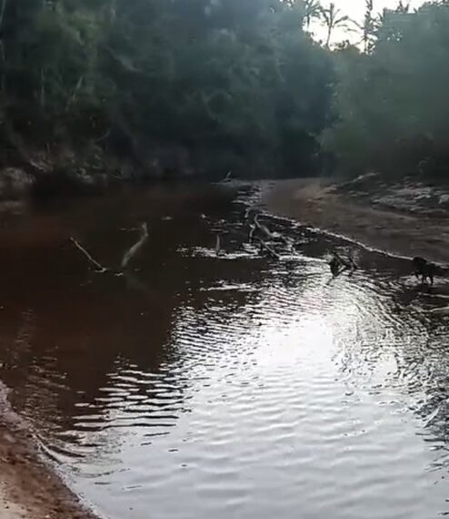 Jovem morre afogada ao tentar atravessar rio a cavalo, em Caiapônia