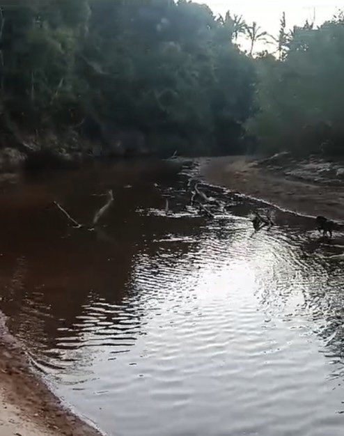 Jovem morre afogada ao tentar atravessar rio a cavalo, em…